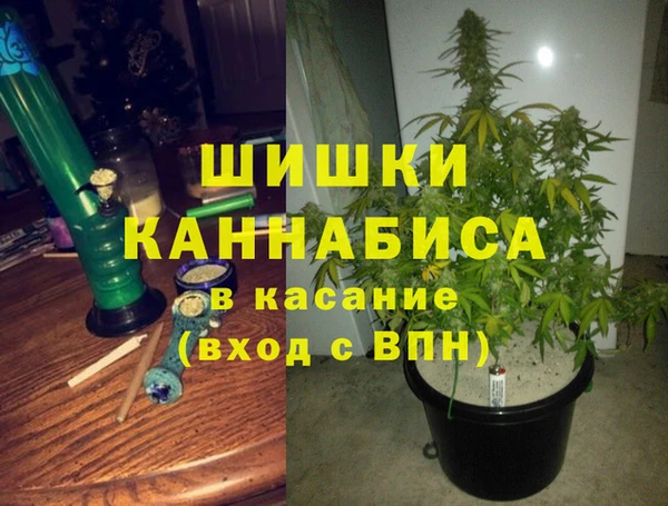 мяу мяу мука Алзамай