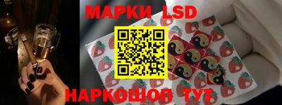 прущие грибы Гатчина