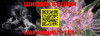 прущие грибы Гатчина