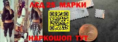 прущие грибы Гатчина