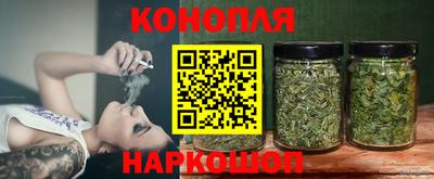 прущие грибы Гатчина