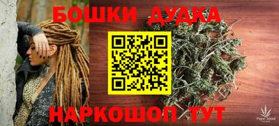 прущие грибы Гатчина