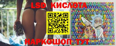 прущие грибы Гатчина