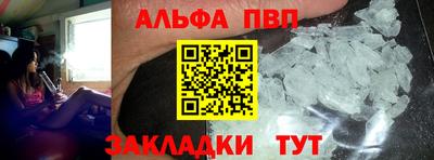 прущие грибы Гатчина